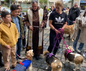 Bênção dos Animais