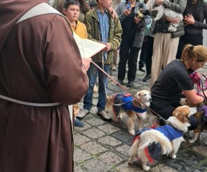 Bênção dos Animais