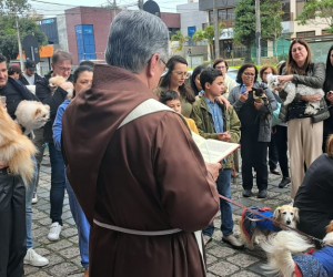 Bênção dos Animais