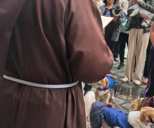 Bênção dos Animais