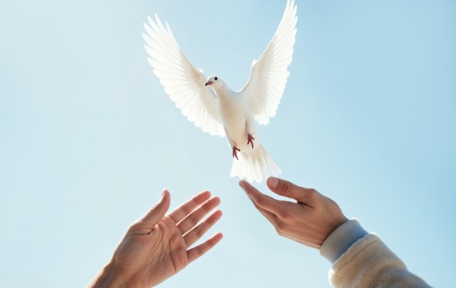 Leão XIV: perseveremos em invocar o dom da paz para o mundo inteiro